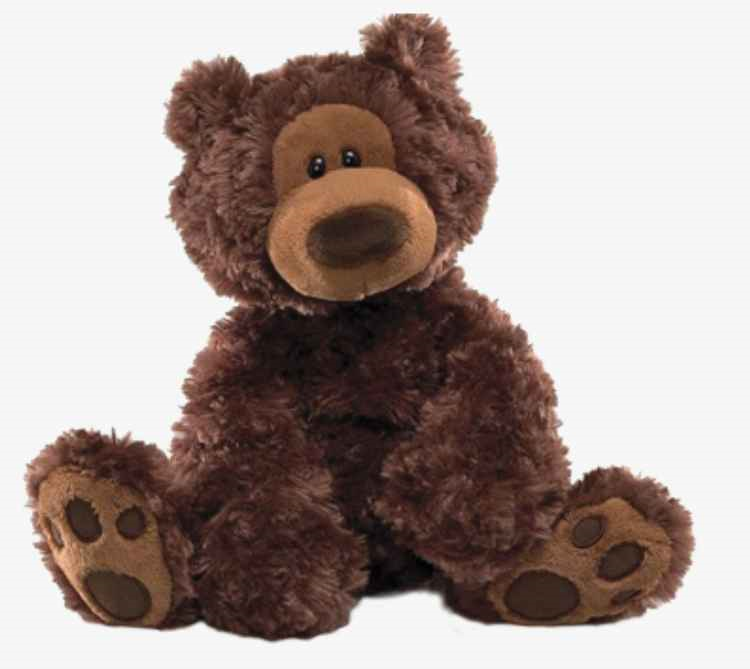 Life Expressions Memory Bear MBC-068